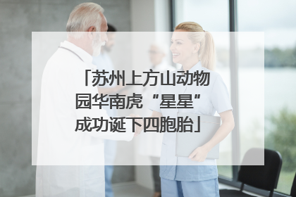 苏州上方山动物园华南虎“星星”成功诞下四胞胎