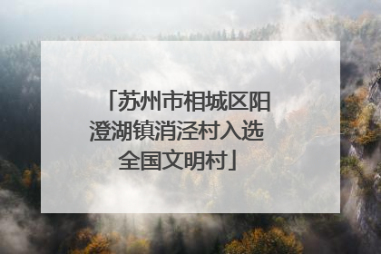 苏州市相城区阳澄湖镇消泾村入选全国文明村