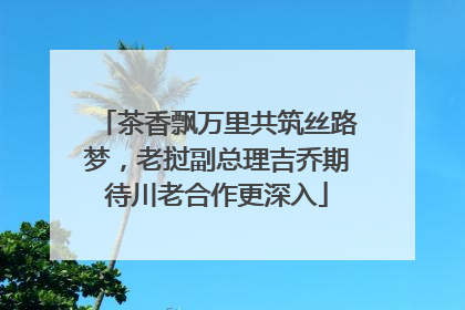 茶香飘万里共筑丝路梦，老挝副总理吉乔期待川老合作更深入