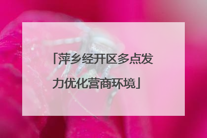 萍乡经开区多点发力优化营商环境