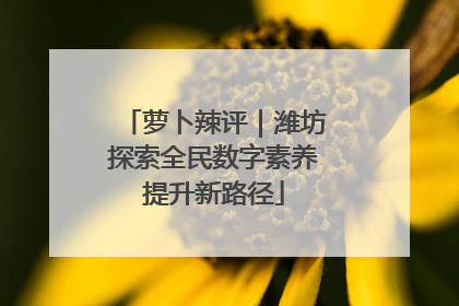 萝卜辣评|潍坊探索全民数字素养提升新路径