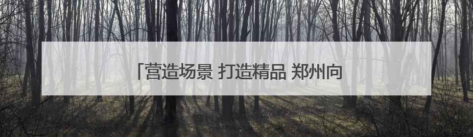 营造场景 打造精品 郑州向“微短剧创作之都”阔步迈进