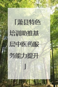 萧县特色培训助推基层中医药服务能力提升