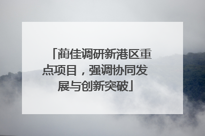 蔺佳调研新港区重点项目，强调协同发展与创新突破