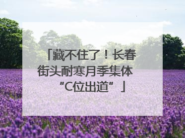 藏不住了！长春街头耐寒月季集体“C位出道”