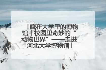 藏在大学里的博物馆丨校园里奇妙的“动物世界”——走进河北大学博物馆