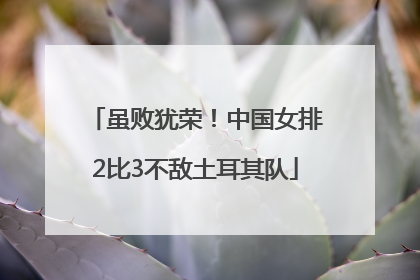 虽败犹荣！中国女排2比3不敌土耳其队
