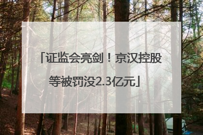 证监会亮剑！京汉控股等被罚没2.3亿元