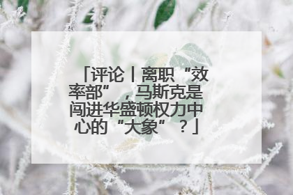 评论丨离职“效率部”，马斯克是闯进华盛顿权力中心的“大象”？
