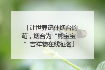 让世界记住烟台的萌，烟台为“熊宝宝”吉祥物在线征名