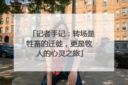 记者手记：转场是牲畜的迁徙，更是牧人的心灵之旅
