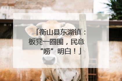 衡山县东湖镇：板凳一圈围，民意“唠”明白！