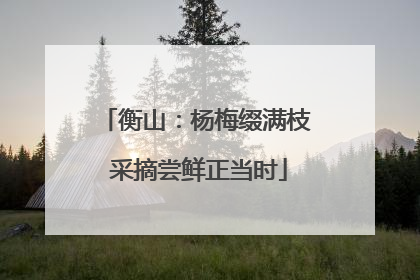 衡山：杨梅缀满枝 采摘尝鲜正当时