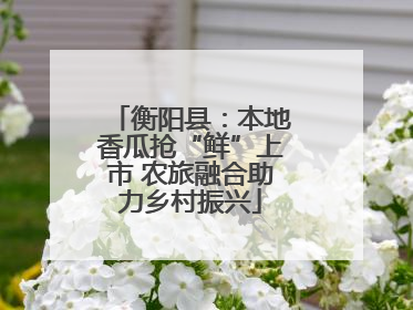 衡阳县：本地香瓜抢“鲜”上市 农旅融合助力乡村振兴