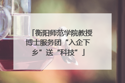 衡阳师范学院教授博士服务团“入企下乡”送“科技”