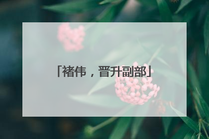 褚伟，晋升副部
