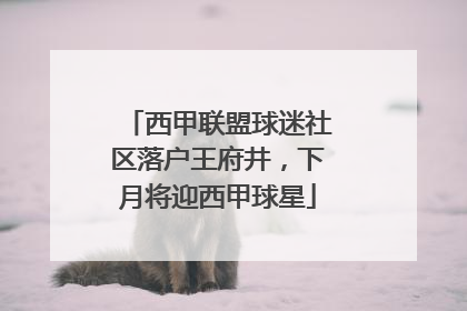 西甲联盟球迷社区落户王府井，下月将迎西甲球星