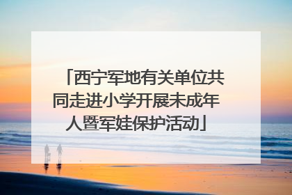 西宁军地有关单位共同走进小学开展未成年人暨军娃保护活动