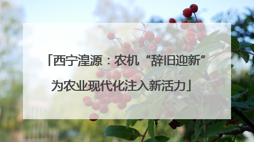 西宁湟源：农机“辞旧迎新” 为农业现代化注入新活力