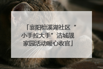 襄阳檀溪湖社区“小手拉大手”洁城靓家园活动暖心收官