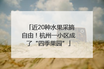 近20种水果采摘自由！杭州一小区成了“四季果园”