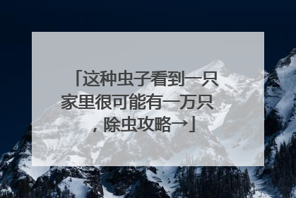 这种虫子看到一只家里很可能有一万只，除虫攻略→