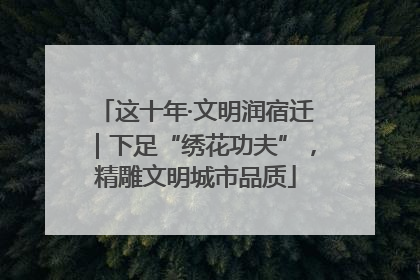 这十年·文明润宿迁｜下足“绣花功夫”，精雕文明城市品质