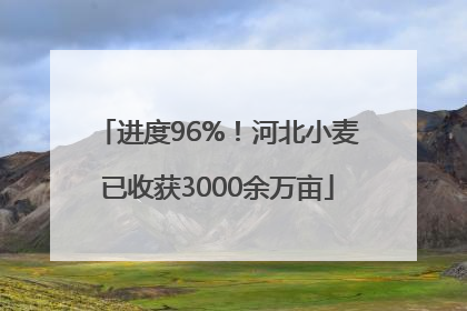 进度96%！河北小麦已收获3000余万亩