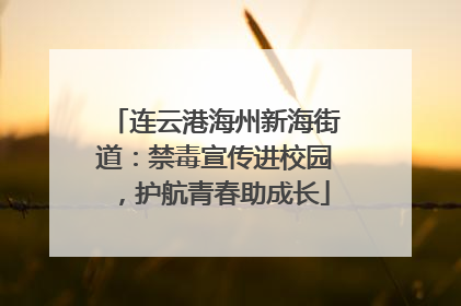 连云港海州新海街道：禁毒宣传进校园，护航青春助成长