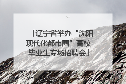 辽宁省举办“沈阳现代化都市圈”高校毕业生专场招聘会