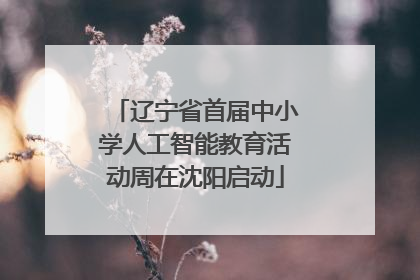 辽宁省首届中小学人工智能教育活动周在沈阳启动
