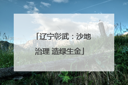 辽宁彰武：沙地治理 造绿生金