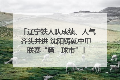 辽宁铁人队成绩、人气齐头并进 沈阳铸就中甲联赛“第一球市”