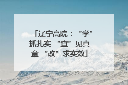 辽宁高院：“学”抓扎实 “查”见真章 “改”求实效