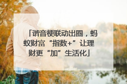 谐音梗联动出圈，蚂蚁财富“指数+”让理财更“加”生活化