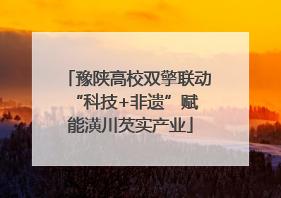 豫陕高校双擎联动 “科技+非遗”赋能潢川芡实产业