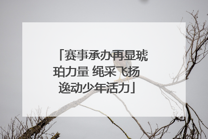 赛事承办再显琥珀力量 绳采飞扬逸动少年活力