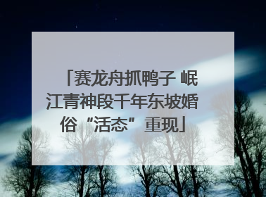 赛龙舟抓鸭子 岷江青神段千年东坡婚俗“活态”重现