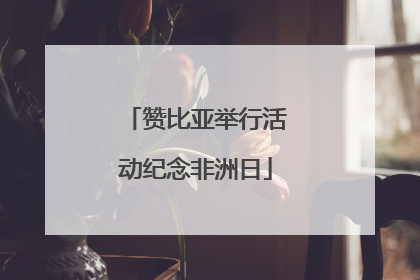 赞比亚举行活动纪念非洲日