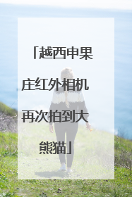 越西申果庄红外相机再次拍到大熊猫
