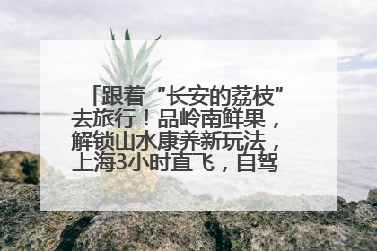 跟着“长安的荔枝”去旅行！品岭南鲜果，解锁山水康养新玩法，上海3小时直飞，自驾高速费优惠