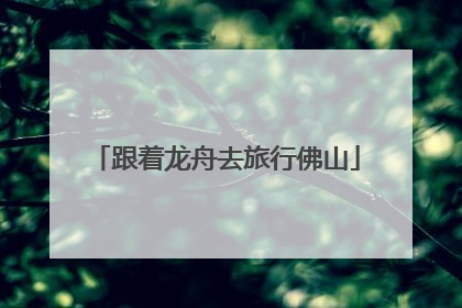 跟着龙舟去旅行佛山