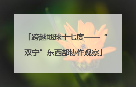 跨越地球十七度——“双宁”东西部协作观察