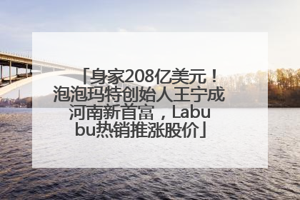 身家208亿美元！泡泡玛特创始人王宁成河南新首富，Labubu热销推涨股价
