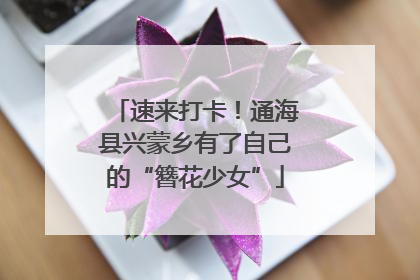 速来打卡！通海县兴蒙乡有了自己的“簪花少女”