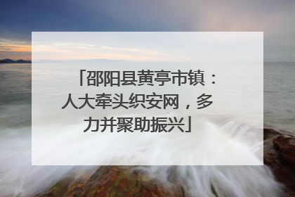 邵阳县黄亭市镇：人大牵头织安网，多力并聚助振兴