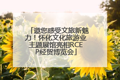 邀您感受文旅新魅力！怀化文化旅游业主题展馆亮相RCEP经贸博览会