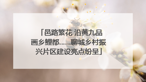 邑路繁花 沿黄九品 画乡鲤都……聊城乡村振兴片区建设亮点纷呈