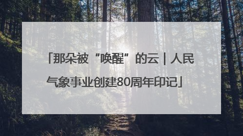 那朵被“唤醒”的云｜人民气象事业创建80周年印记