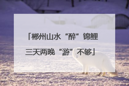 郴州山水“醉”锦鲤 三天两晚“游”不够